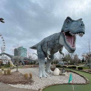 Meet your Posher, Aamir